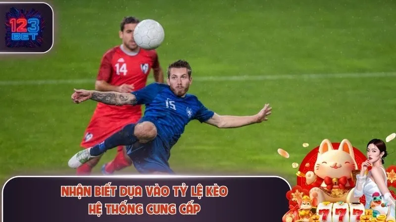 Nhận biết dựa vào tỷ lệ kèo của nhà cái cung cấp